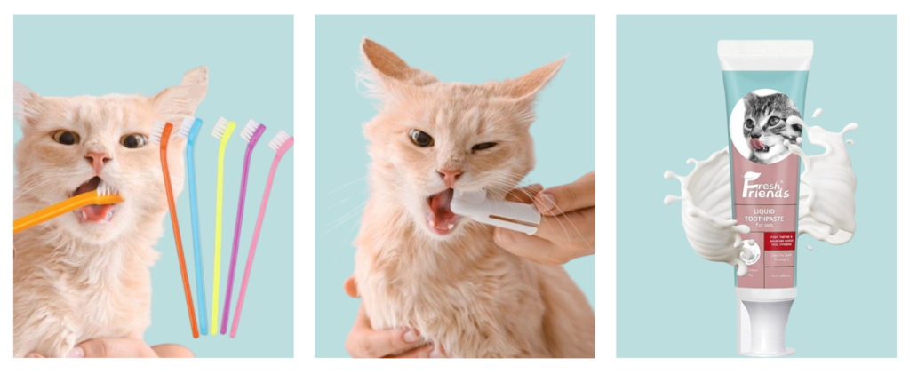 An image depicting a person gently brushing a cat's teeth with a small toothbrush, showcasing the importance of dental care for feline companions.