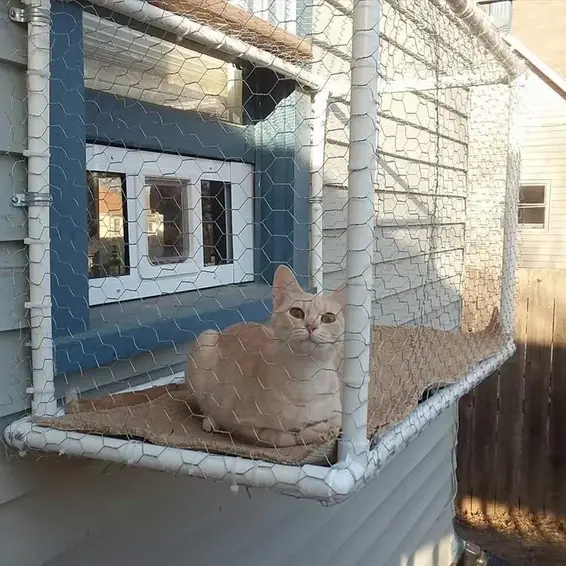  A sturdy, wooden cat window box attached to a window sill, featuring a cozy interior with soft bedding, a scratching post, and a curious cat lounging inside, gazing out at the surrounding neighborhood.