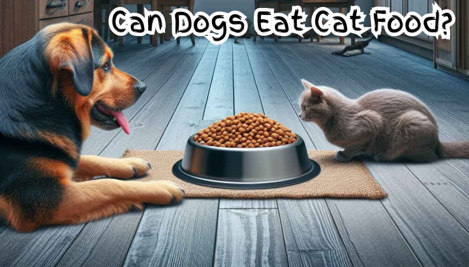 Can Dogs Eat Cat Food? Understanding the Risks and Benefits