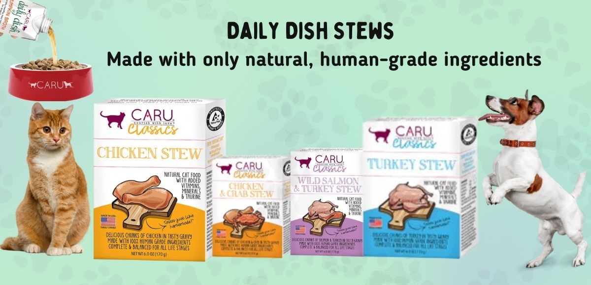 Caru Cat Food: Delectable Dishes for Your Discerning Diner