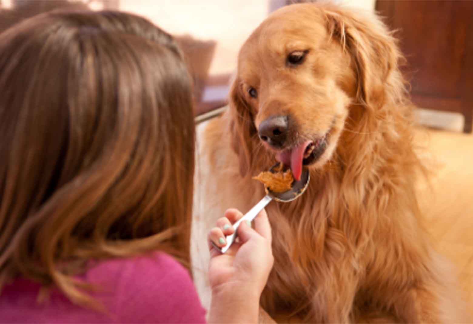 Can Dogs Eat Peanut Butter? Your Guide to Safe Treats for Fido