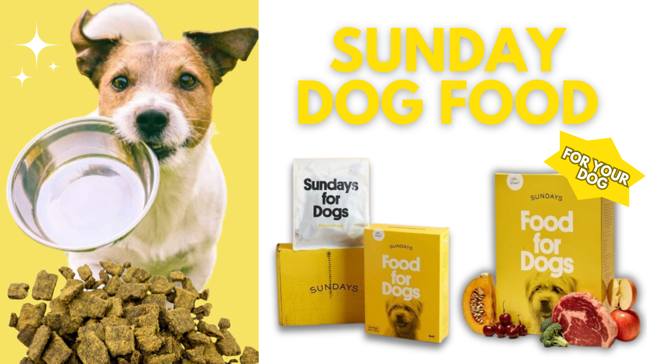 Sunday Dog Food: Elevating Your Pup’s Weekly Feast