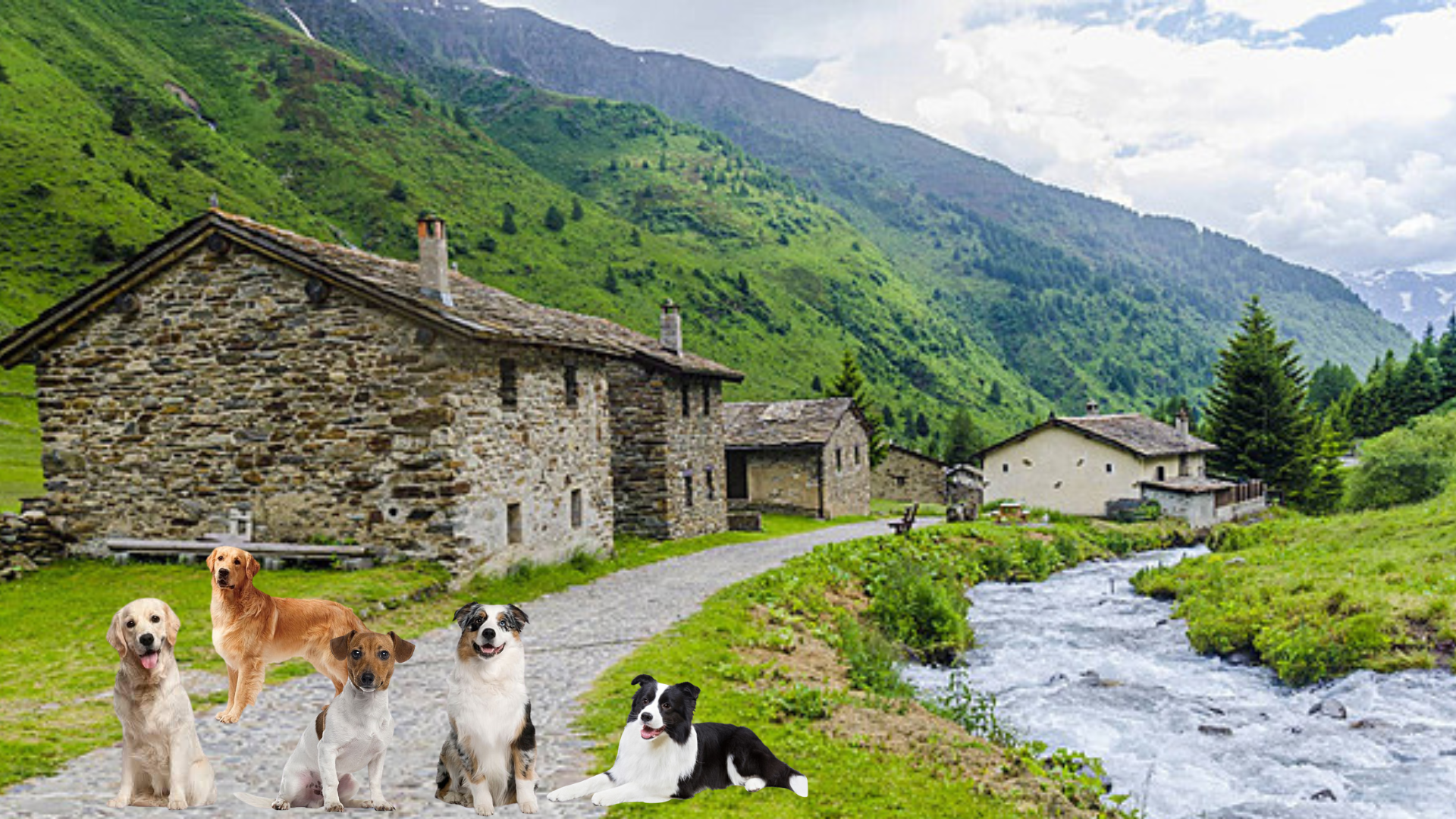 Labrador Retriever happily exploring a quaint village street, embodying the perfect rural companion.